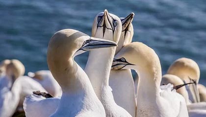 mk体育入口｜开启你的专属观赛之门