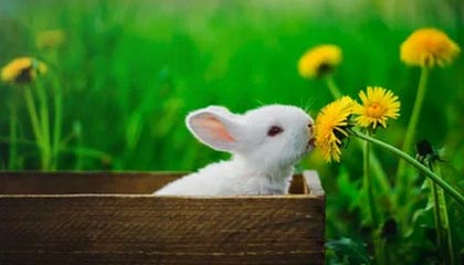 辽宁男篮训练小课堂：赵继伟单防莫兰德，能防住吗？